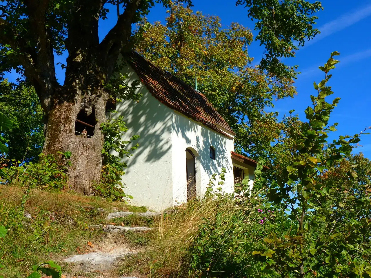 Die nachricht leonhard thoma
