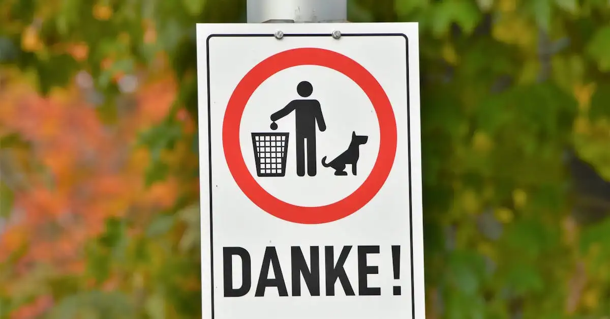 Nachricht zur trauer